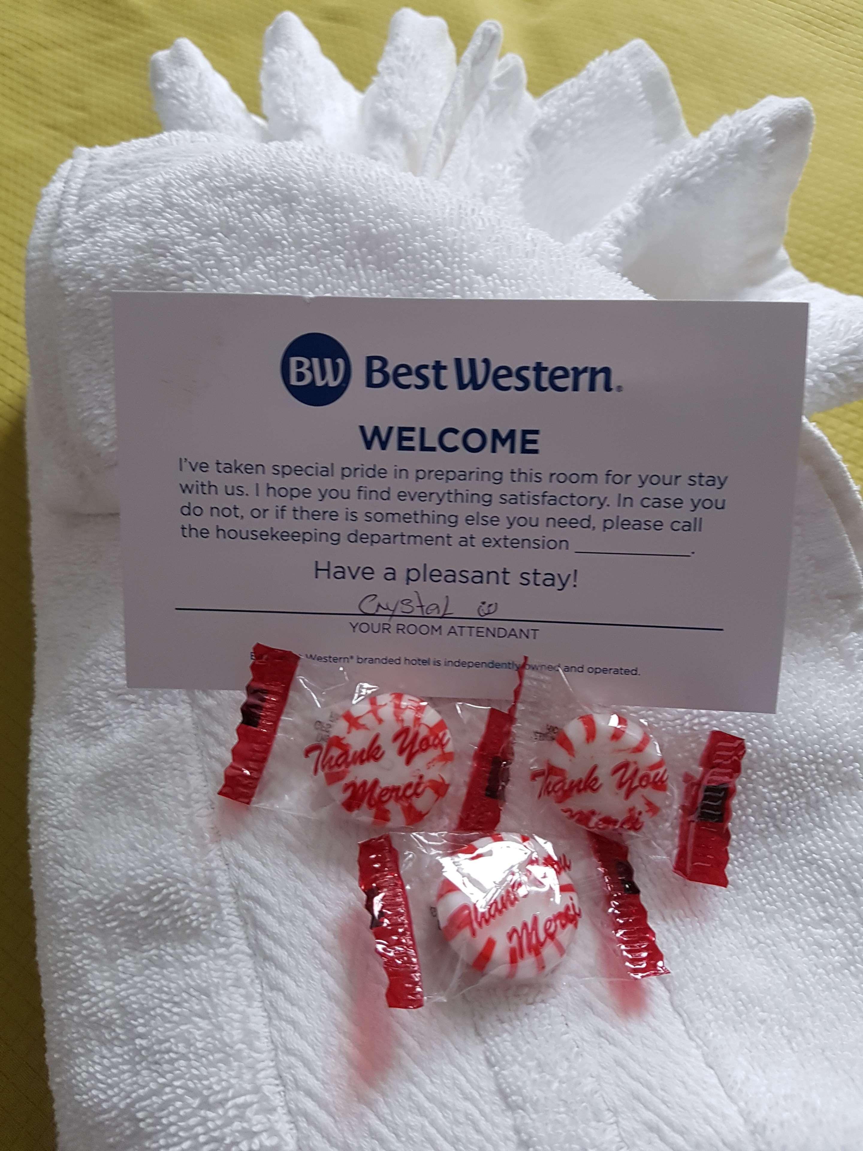 Best Western Plus Durham Hotel & Conference Centre Oshawa Esterno foto