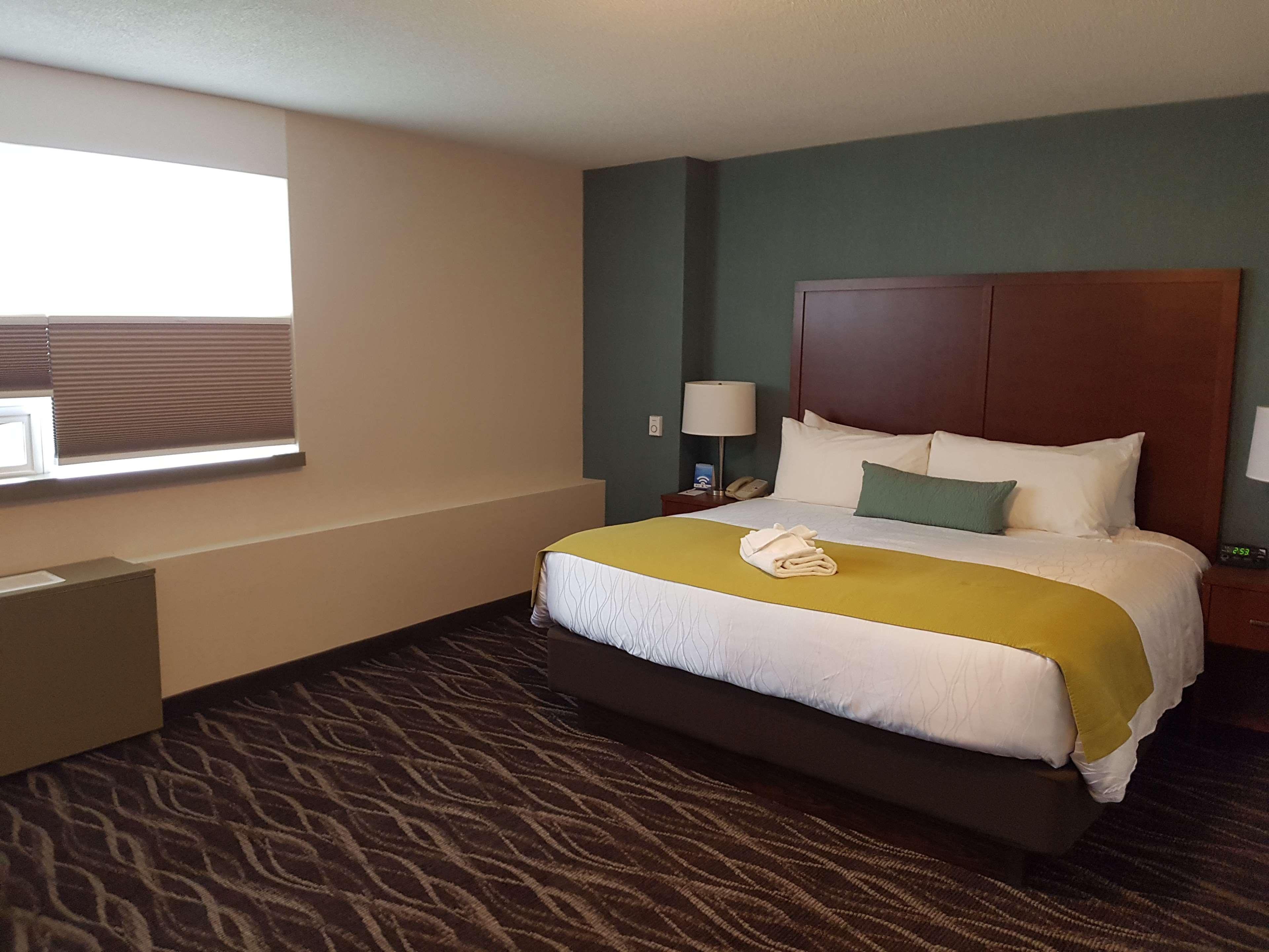 Best Western Plus Durham Hotel & Conference Centre Oshawa Esterno foto